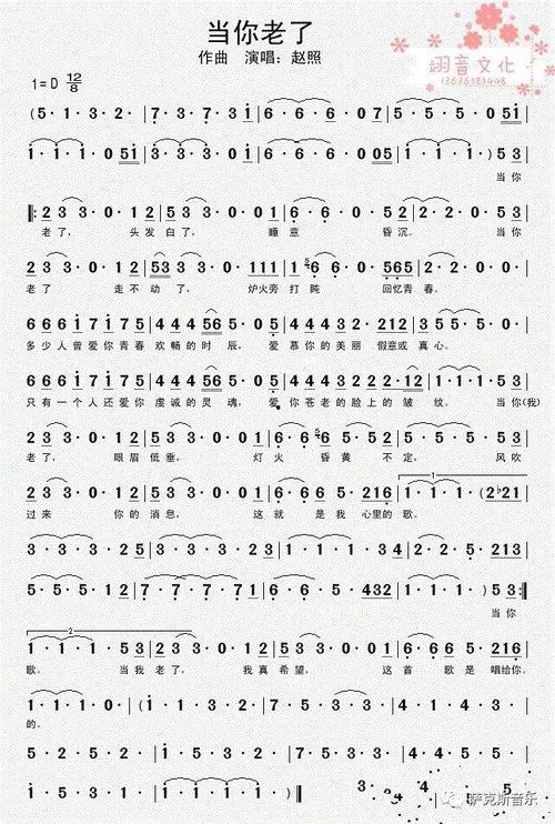 当你老了赵照创作背景,赵照当你老了的创作心路历程