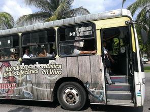 娱乐吃瓜酱坐公交车